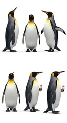 Obraz premium Group of penguins standing. Some looking up. Two penguins holding ice cream cones. Isolated on white background.