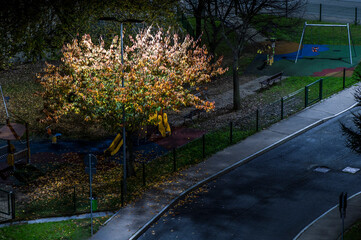 Parco giochi in un parco autunnale, illuminato dai lampioni. Le foglie cadute ricoprono il terreno. Un albero illuminato a giorno con le foglie ingiallite si erge vicino a uno scivolo.