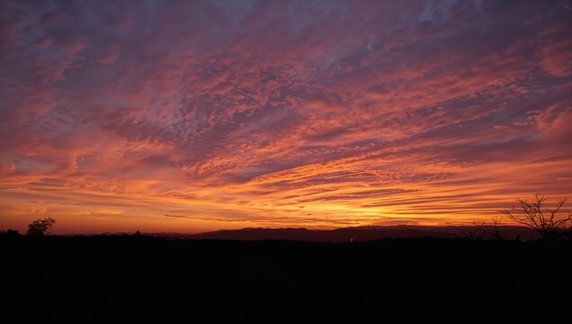 Landscape with a sunset sky and silhouette, ideal for editorial header background