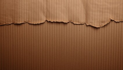 The torn corrugated paper surface, a raw texture for creative layouts