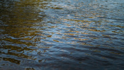 Surface of a river reflecting light, showcasing seasonal change