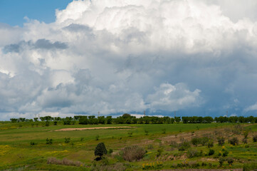 Alta Murgia, panorama del parco con prato , cielo azzurro, nuvole, casolari. Orizzonte delle verdi colline in  Puglia, natura Italia.