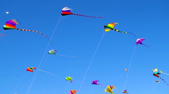 Colorful kites soaring in a vibrant blue sky