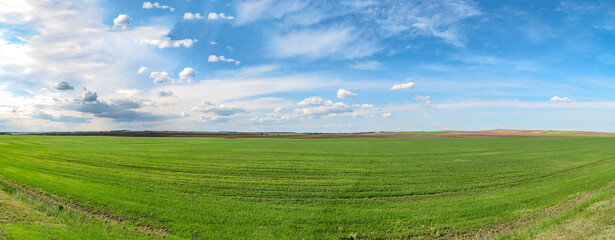 Wide panoramic view of a green field under a bright blue sky with scattered clouds, capturing a peaceful rural landscape and open horizon.