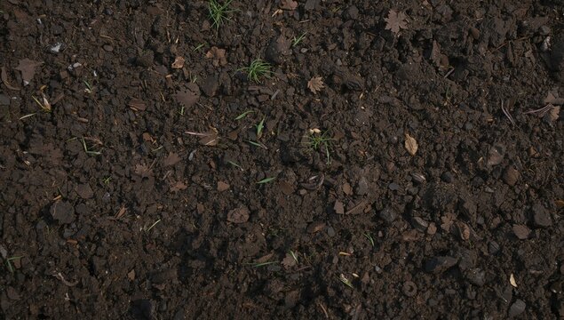 Close-up view of dark brown soil with small plants, showcasing its texture and cultivation benefits