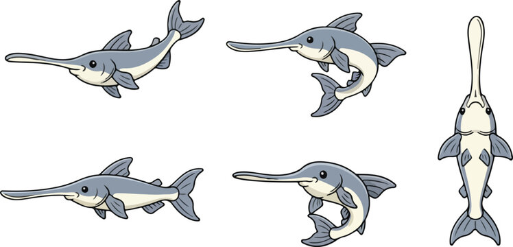vector illustration of paddlefish funny cute cartoon mascot character cartoon with 5 poses 03