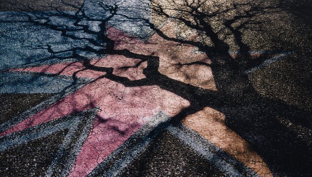 Tree silhouette against a painted concrete backdrop, suitable for editorial header background