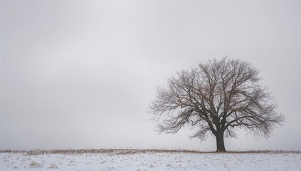 Stock photo of a savory dish, highlighting protein-rich meal