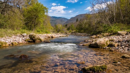 Small stream featuring moss-covered rocks and a stony bed, ideal for nature travel, spring exploration