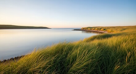 Serene Coastal Landscape at Sunrise with Golden Grass and Calm Water