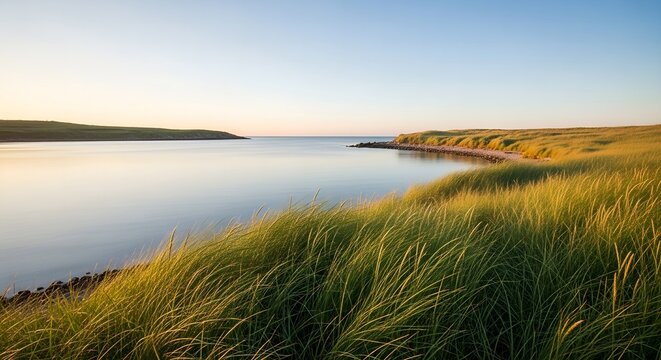 Serene Coastal Landscape at Sunrise with Golden Grass and Calm Water