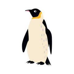 Obraz premium Cartoon penguin isolated on white background. Vector illustration.