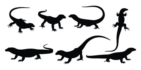 Silhouette of monitor lizards in various poses, creating a dynamic composition