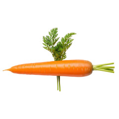 Vibrant Carrot with Fresh Green Top Isolated on White.