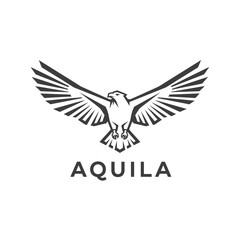 Obraz premium A stylized eagle in mid-flight with outstretched wings, bold lines, against a white background