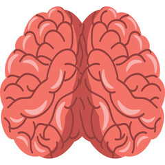 Top View Of Pink Brain With Visible Lobes And Gyri Detailed Anatomical Illustration On White Background Simple Graphic