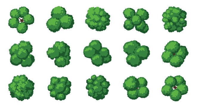Top View Green Tree and Bush Collection for Map and Game Design