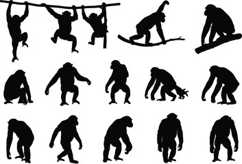 Monkey Ape Chimpanzee Silhouettes Vector Set, Primate Animal Hanging Climbing Tree Collection, Jungle Zoo Wildlife Fauna Black Shapes
