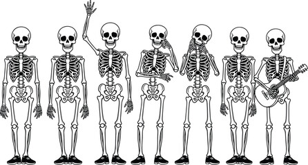 Funny Skeleton Group Cartoon Vector Illustration, Day of the Dead Halloween Party Music Celebration, Human Anatomy Bones Character Set