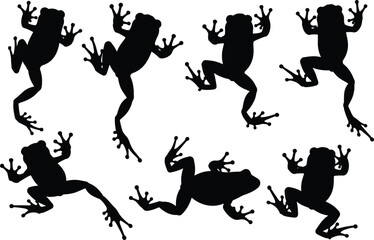 Tree Frog Silhouettes Vector Set, Jumping Amphibian Animal Collection, Wild Tropical Nature Pond Swamp Creature Black Shapes