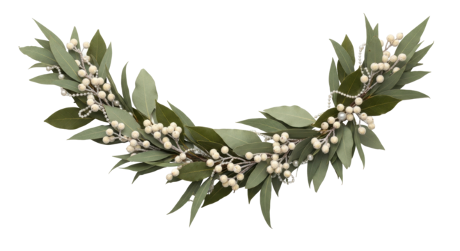 Isolated Decorative Eucalyptus Garland with White Berries and Pearls, Festive Winter Foliage