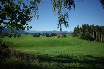 Bavarian Landscape with Green Fields and Alps