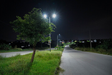 Obraz premium night road in the park