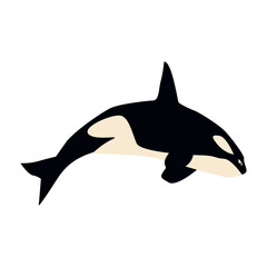 Whale on a white background. Cute animal. Vector illustration.