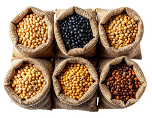  Sacos Rústicos com Sementes de Soja PNG