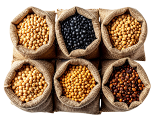  Sacos Rústicos com Sementes de Soja PNG