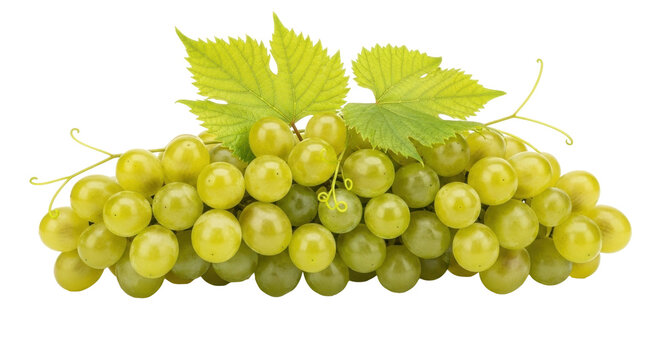 Isolated cluster of green grapes with leaves, fresh fruit for healthy diet and nutrition - Powered by Adobe