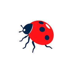 Obraz premium ladybug on white background