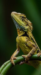 Obraz premium Lizard on Branch