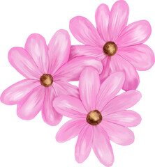 Three Pink Watercolor Flowers