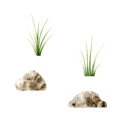 Grass and stones. Watercolor hand drawn rock and plant. Isolated botanical illustration on transparent background. Perfect for tropical design projects. For designers, invitations, baby decoration