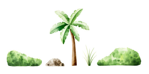 Grass, bush, palm and stone. Watercolor hand drawn rock and tropical plant. Isolated botanical illustration on transparent background. Perfect for tropical design projects. For designers, invitations