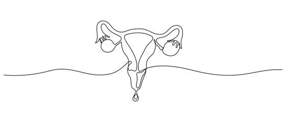 Continuous Line Drawing of Female Reproductive System with Drop,Continuous one line drawing of women's Uterus and Ovary.
