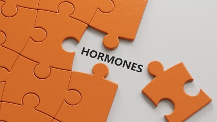Fototapeta premium HORMONES word cube. Medical concept.3D rendering.