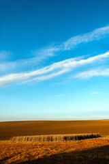 Plowed field and dry grass under a clear blue sky in a countryside. Auvergne. France