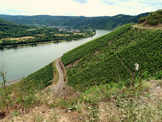 Aussicht auf die Weinberge am Bopparder Hamm bei Boppard im Mittelrheintal. Aussicht vom...