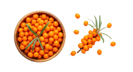 Sea buckthorn berries in a bowl and on a branch on transparent background