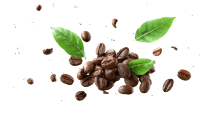 Coffee beans and green leaves isolated on a transparent background