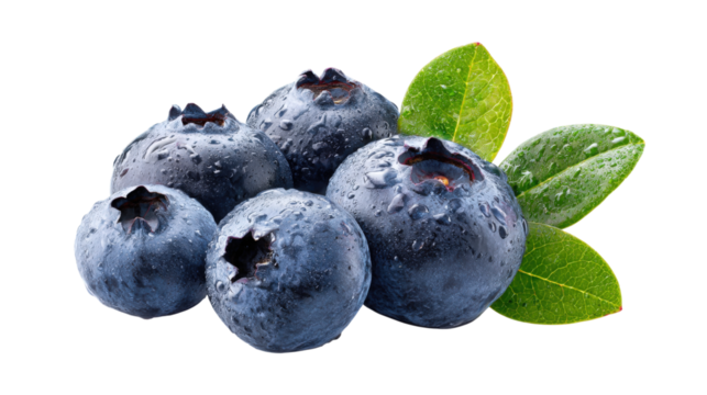 Five Blueberries with Water Droplets isolated on a transparent background