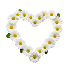 Fototapeta premium Daisy Flower Heart Wreath