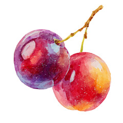 A beautiful watercolor sugarplum isolated on a white background, AI painting style, vector set available in EPS format. Hand-painted watercolor design, vectorized	