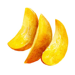 A Watercolor_style_painting_of_mango_slices, simple eps format illustration, Watercolor_style