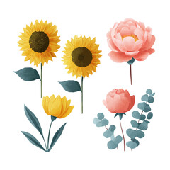 Very Simple flat 2D illustration of sunflowers and peonies and eucalyptus set isolated on a white background, vector icon set, simple design in a flat design, 2D illustration, EPS format design