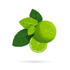 A Very Simple flat 2D illustration of lime and mint leaf isolated on a white background, vector icon set, simple design in a flat design, 2D illustration, EPS format design, simple design © Sabellatint