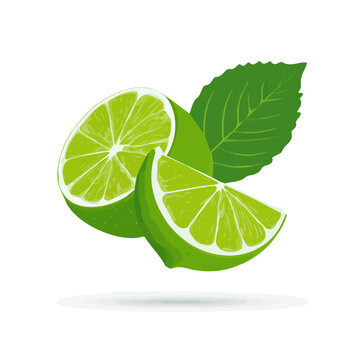 A Very Simple flat 2D illustration of green lime and pepper mint leaf isolated on a white background, vector icon set, simple design in a flat design, 2D illustration, EPS format design