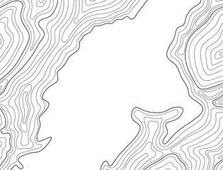 Abstract topographic background in PNG. Wavy contour lines, minimalism, and geometry. Damask steel pattern. Topographic background with empty space for text.